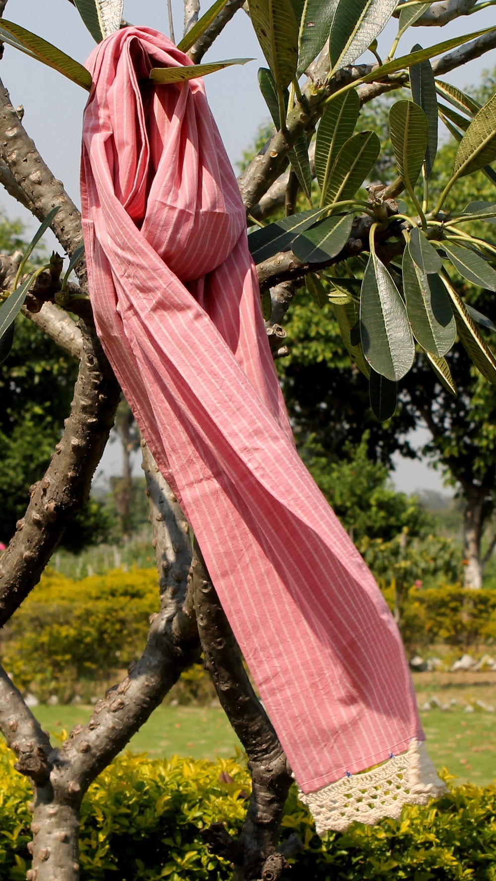 Pink striped stole online at bebaakstudio.com