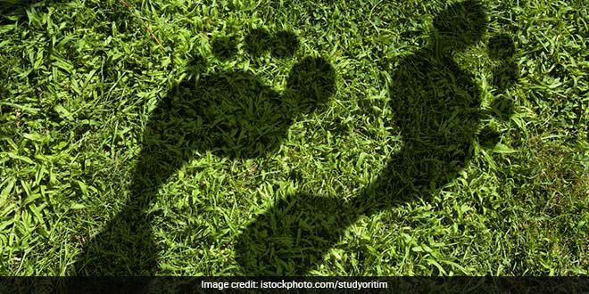 Small steps: Minimize Carbon Footprint